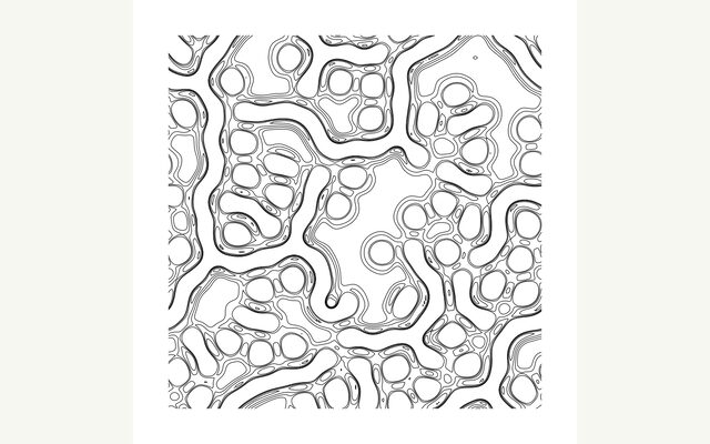 Gray-Scott Reaction-Diffusion