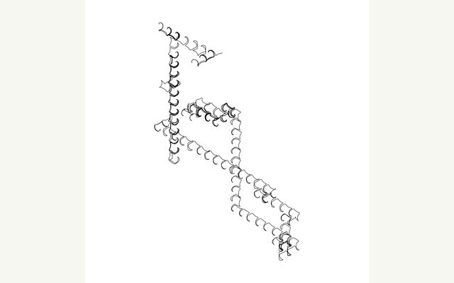 Labyrinth Chaos Walk